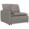 vidaXL Modulinė sofa, porankis, galo modulis su pagalvėlėmis, pilkai ruda, 100 cm