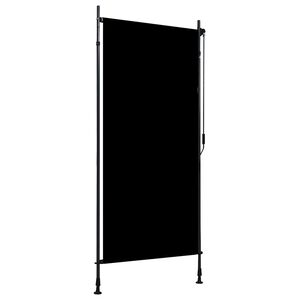 vidaXL Lauko roletas, antracito spalvos, 100x270cm