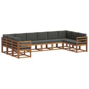 vidaXL Lauko sofos komplektas 10 pcs Natūralus ir antracitas
