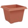 vidaXL Kvadratinis gėlių vazonas 6 pcs Raudona plyta 23 x 23 x 17,5 cm