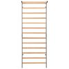vidaXL Gimnastikos sienelė, 90x30x236cm, montuojama viduje