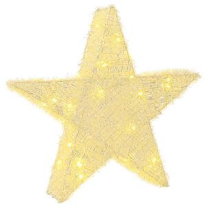 vidaXL 3D Kalėdų žvaigždė 50 LED &Scaron;ilta balta 55 x 53,5 x 10 cm