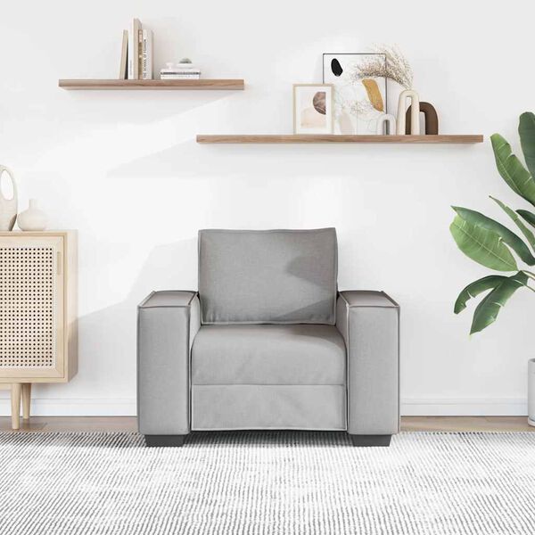 vidaXL Sofa-kėdė, debesų pilka, 60 cm, audinys