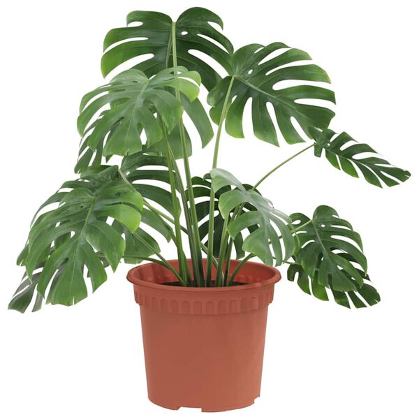 vidaXL Apvalus gėlių vazonas 6 pcs Raudona plyta &Oslash; 12,5 x 10 cm