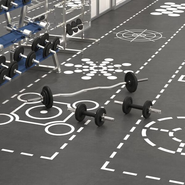 vidaXL Štangos ir svarmenų rinkinys, 30kg, ketus