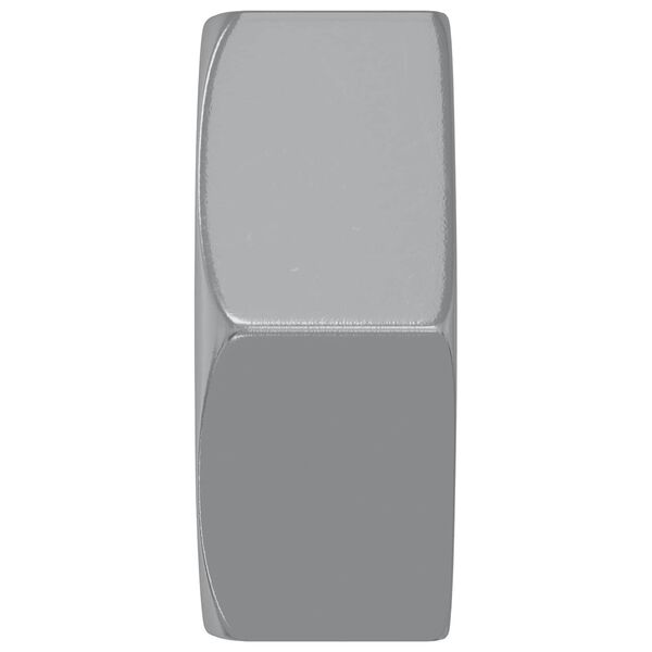 vidaXL Hex veržlės 2 pcs Sidabro M6 Plienas