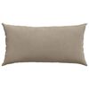 vidaXL Sofa Pagalvės 2 pcs Taupe 80 x 40 cm audinys