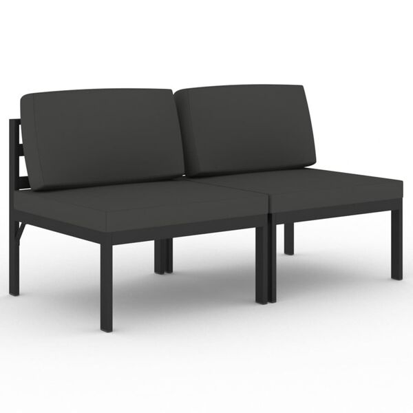 vidaXL Dvivietė sodo sofa su pagalvėlėmis, antracito, aliuminis