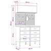 vidaXL Darbo spintos rinkinys su stalčių su lentyna 5 pcs Raudona