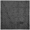 vidaXL Vidaus ir lauko kilimas PALMERAS Antracitas 240 x 240 cm
