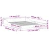 vidaXL Lovos rėmas Balta 120 x 200 cm Kietos pušies mediena