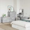 vidaXL Oppbevaringsskap Betono pilka 80 x 48 x 57 cm Apdirbta mediena