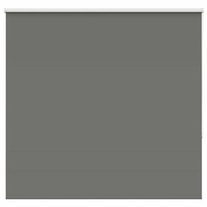 vidaXL roletas smėlio Pilka 155x130 cm audinio plotis 151,6 cm
