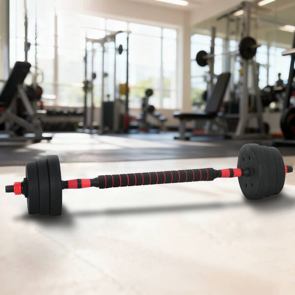 vidaXL 2-in-1 hantelių rinkinys Juoda ir raudona 121 x 19,5 x 19,5 cm