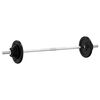 vidaXL &Scaron;tanga su svoriais, 60kg, ketus