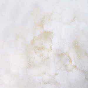 vidaXL Pluo&scaron;to užpildas Baltas 2,5 kg Poliesteris