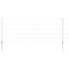 vidaXL Tvora su stulpais Sidabro 0,8 x 100 m Plienas