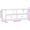 vidaXL Televizoriaus spintelė, dūminė, 100x31x39,5cm, mediena/metalas