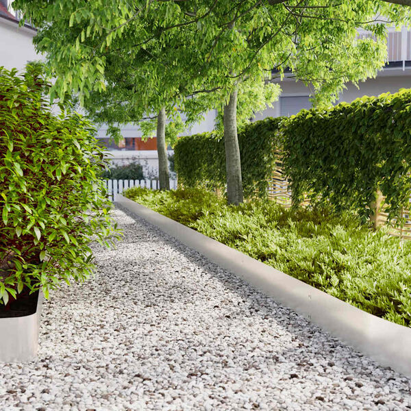 vidaXL Vejos apvadai 30 vnt 20x103 cm Nerūdijantis plienas