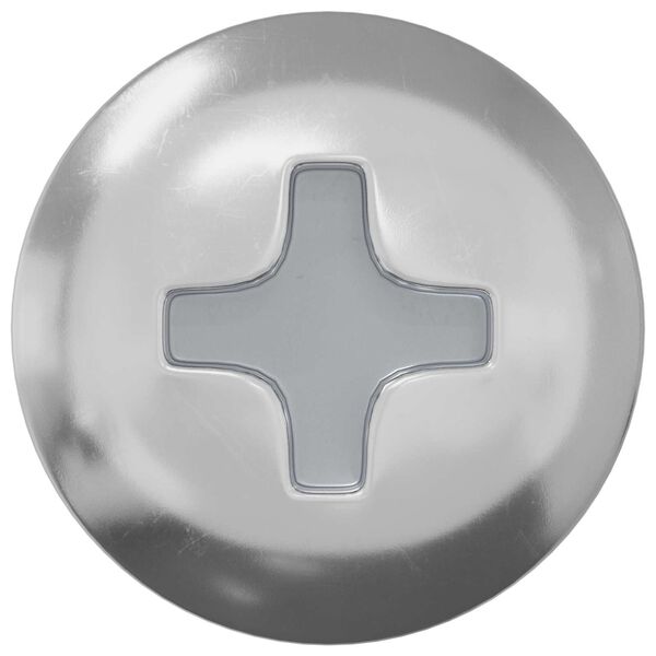 vidaXL Mediniai varžtai 2 pcs Sidabro M4 x 20 mm Plienas