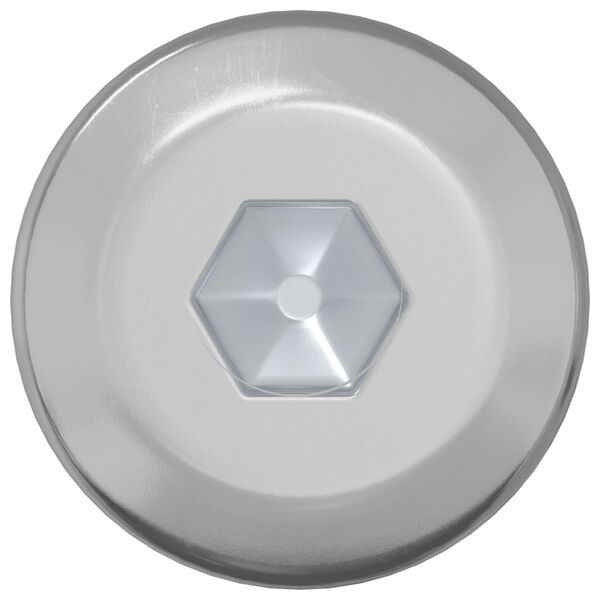 vidaXL Varžtas 12 pcs Sidabro M6 x 120 mm Plienas