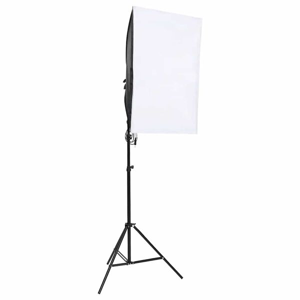 vidaXL Profesionalūs fotostudijos &scaron;viestuvai, 2vnt., 40x60cm