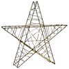 vidaXL 3D Kalėdų žvaigždė 120 LED &Scaron;ilta balta 55 x 53,5 x 10 cm
