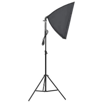 vidaXL Profesionalus fotostudijos šviestuvas, 60x40cm