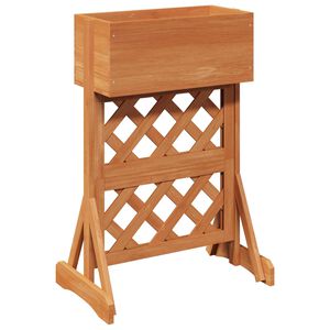 vidaXL Vertikalus sodinimo trellis Oranžinė 48 x 30 x 70,5 cm