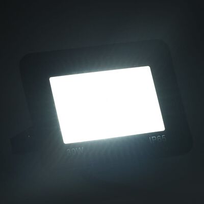 vidaXL LED prožektoriai, 2vnt., šaltos baltos spalvos, 30W