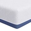 vidaXL Čiužinys Vidutinio kietumo 70 x 200 cm Balta ir mėlyna