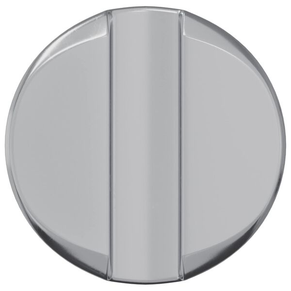 vidaXL Cilindrinės veržlės 2 pcs Sidabro M6 x 12 mm Metalas