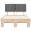 vidaXL Lovo rėmas su apmu&scaron;tu galvūgaliu &Scaron;viesiai pilka 120 x 190 cm
