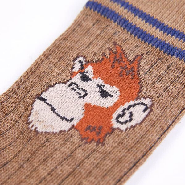 Vaikiškos kojinės, 5 poros, EU 23–26