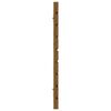 vidaXL Sieninis galvūgalis, medaus rudas, 166x3x63cm, pu&scaron;ies masyvas