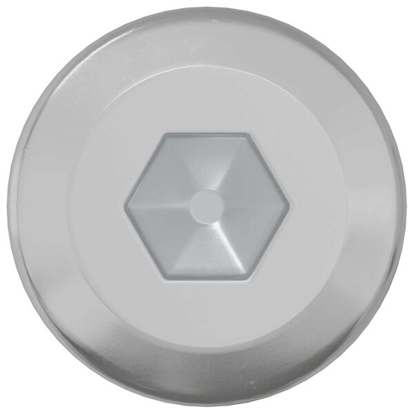 vidaXL Užrakinimo varžtas Paprastas 2 pcs Sidabro M6 x 35 mm Plienas