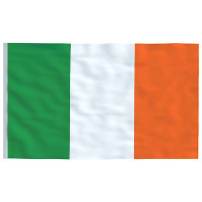 vidaXL Airijos vėliava su stiebu, aliuminis, 6m