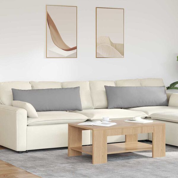 vidaXL Sofa Pagalvės 2 pcs Debesų pilka 120 x 40 cm audinys