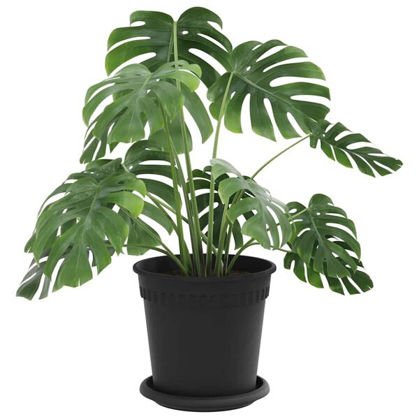 vidaXL Augalų vazonai 6 pcs Juoda &Oslash; 17 x 14 cm Plastmasė