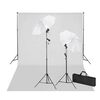 vidaXL Rinkinys fotostudijai, baltas fonas 600x300cm ir &scaron;viestuvai