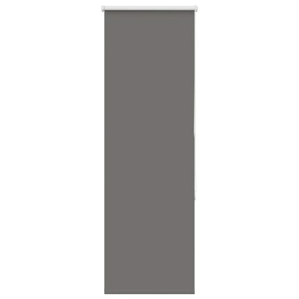 vidaXL roletas smėlio Pilka 55x150 cm audinio plotis 50,7 cm