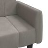 vidaXL Dvivietė sofa-lova, šviesiai pilkos spalvos, aksomas
