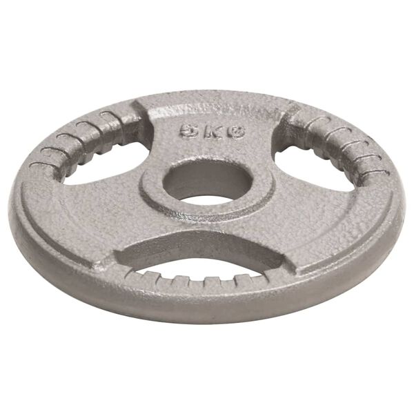 vidaXL Olimpiniai svoriai, 2vnt., 10kg, ketus