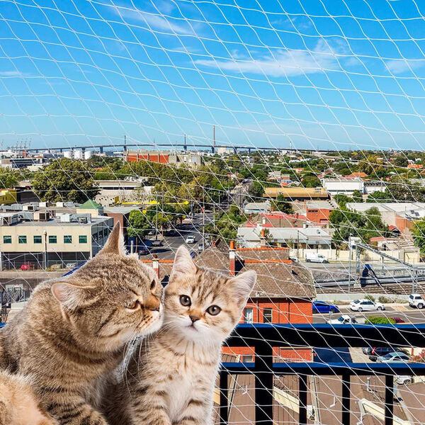 Ferplast Apsauginis tinklelis katėms, 600x300cm, nailonas, L dydžio