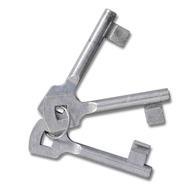 vidaXL Sodo tinkliniai vartai, durų sienelės grotelės, 300x175 cm