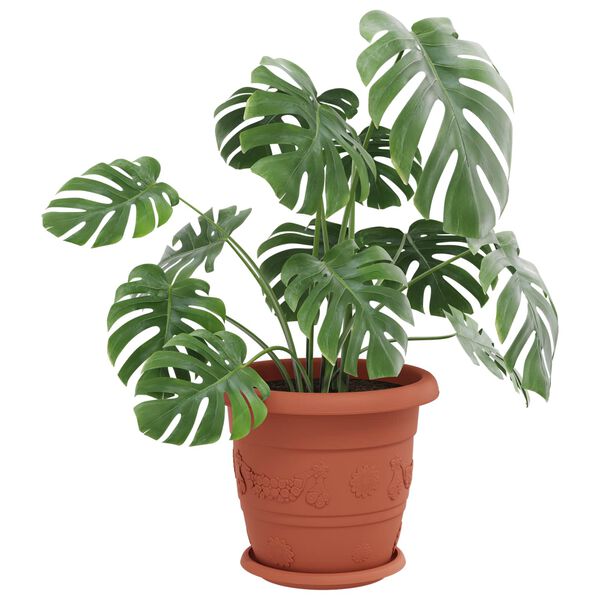 Rodomas prekėsprodukto vaizdas 3 i&scaron; 12