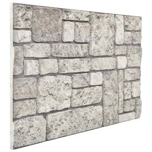 vidaXL Sienų plok&scaron;tės 10 vnt. 100 x 50 cm Pilka EPS putos