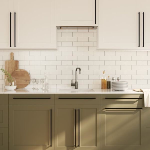 vidaXL Spintelės rankenėlės, 10vnt., juodos, nerūdijantis plienas