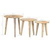 vidaXL Sudedami staliukai, 3vnt., mango medienos masyvas
