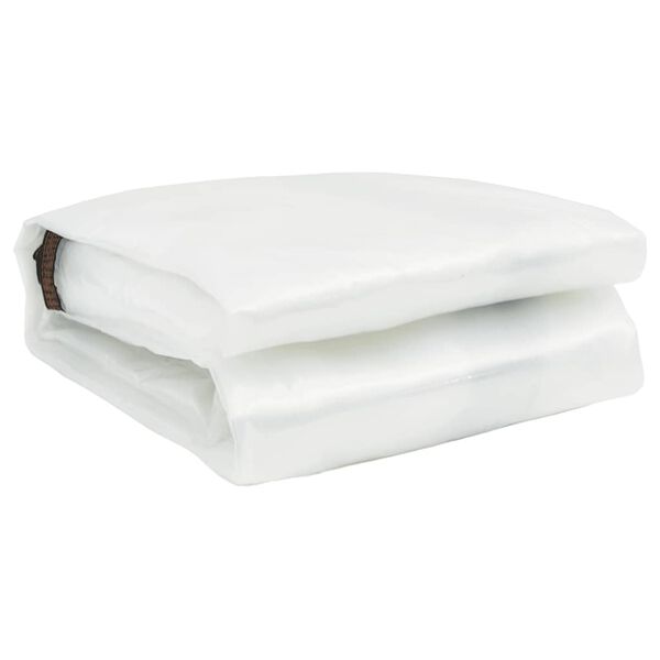 vidaXL Skaidrus brezentas su ąselėmis 6x8 m polietilenas